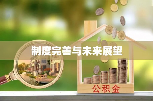 顺义制度完善与未来展望