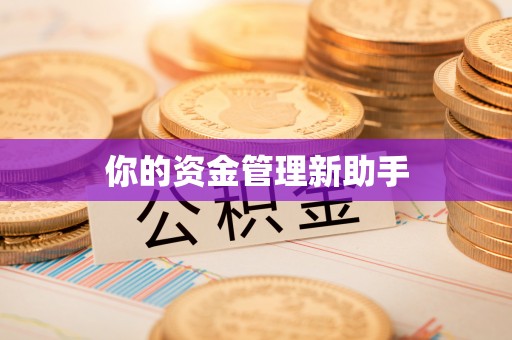 顺义你的资金管理新助手