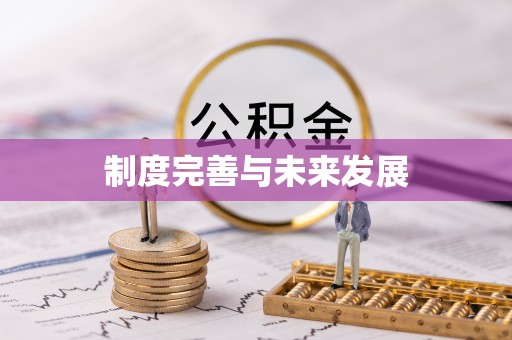顺义制度完善与未来发展