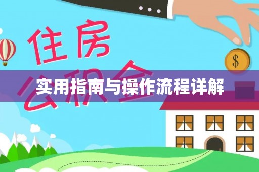 顺义实用指南与操作流程详解