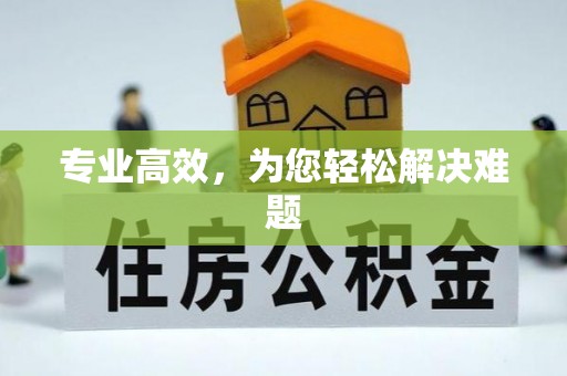 顺义专业高效，为您轻松解决难题