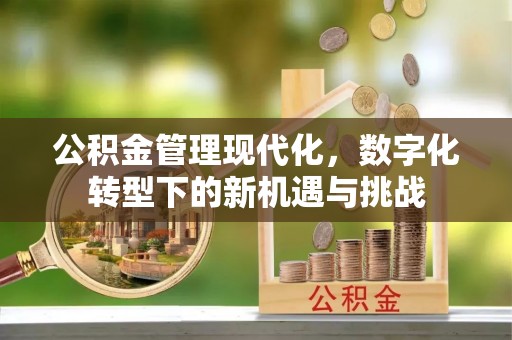 顺义公积金管理现代化，数字化转型下的新机遇与挑战