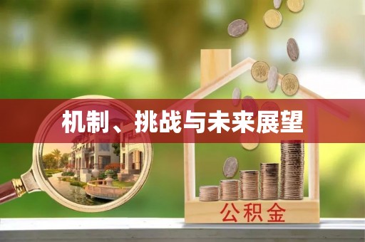 顺义机制、挑战与未来展望